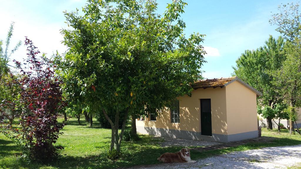 Agriturismo Podere La Cascata Villa Massa Marittima Bagian luar foto